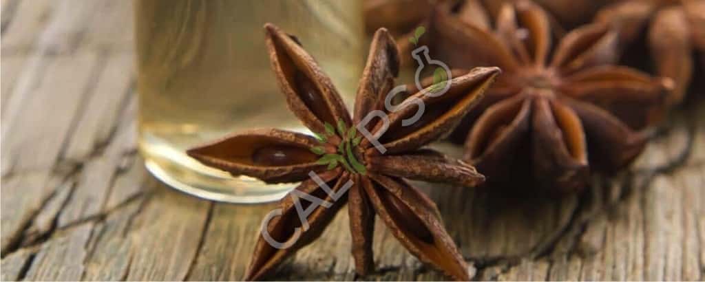 Anise Natural Oil